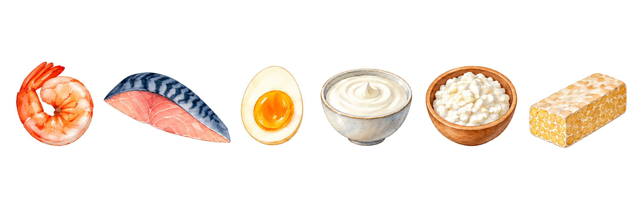 Watercolor illustrations of Shrimp, Mackerel, Egg, Plain Greek yogurt, Cottage cheese, and Tempeh